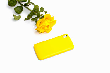 Similar image 8502334