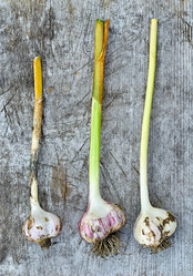 Similar image 8502358