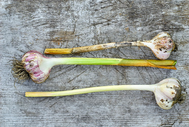 Similar image 8502359