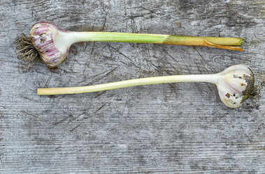 Similar image 8502360