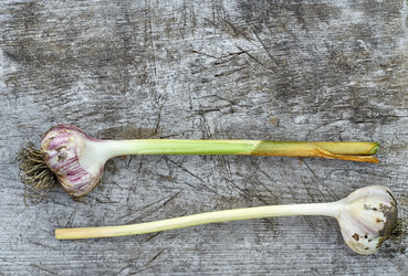 Similar image 8502361