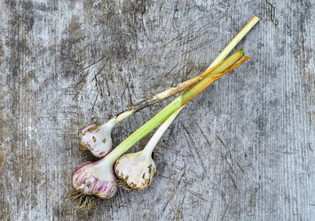 Similar image 8502364