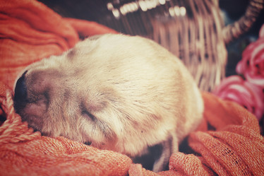 Similar image 8502379