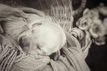 Similar image 8502380