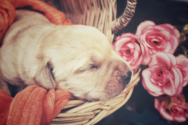 Similar image 8502381