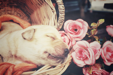 Similar image 8502382