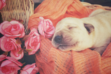 Similar image 8502391