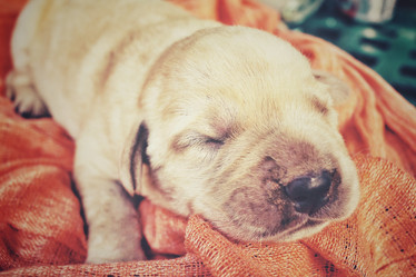 Similar image 8502392