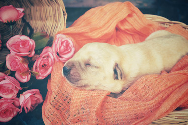 Similar image 8502393