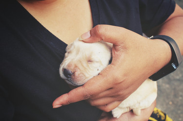 Similar image 8502395