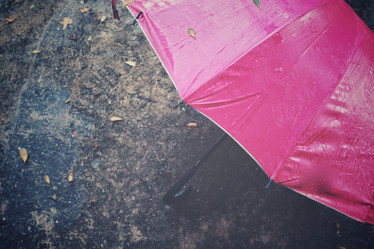 Similar image 8502398