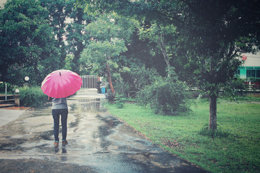 Similar image 8502400