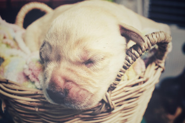 Similar image 8502404