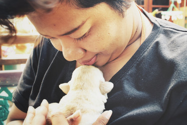 Similar image 8502407