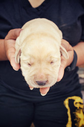 Similar image 8502408