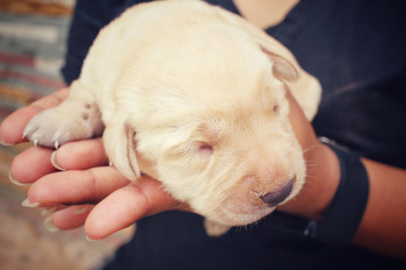 Similar image 8502409