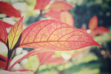 Similar image 8502410