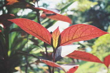 Similar image 8502411