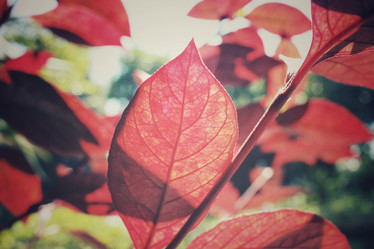 Similar image 8502412