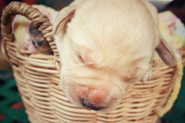 Similar image 8502413