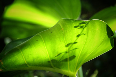 Similar image 8502441