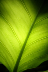 Similar image 8502442