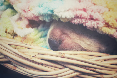 Similar image 8502466