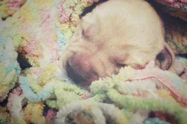 Similar image 8502467