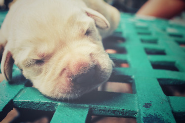 Similar image 8502468