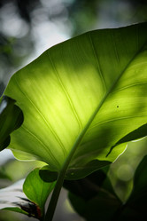 Similar image 8502469