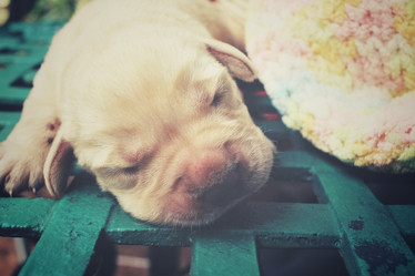 Similar image 8502471