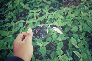 Similar image 8502512