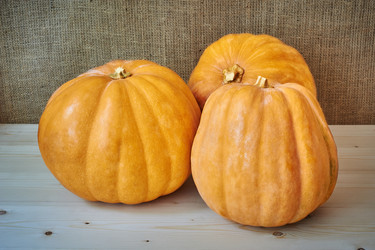 Similar image 8502961