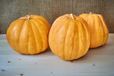 Similar image 8502962