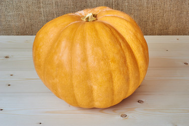 Similar image 8502964