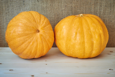 Similar image 8502973