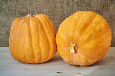 Similar image 8502974