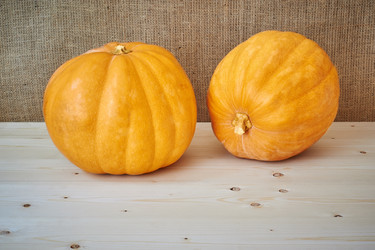 Similar image 8502976