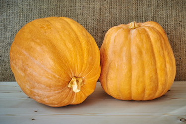 Similar image 8502978