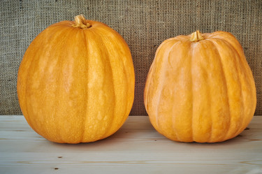 Similar image 8502979