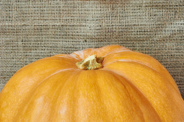 Similar image 8502981