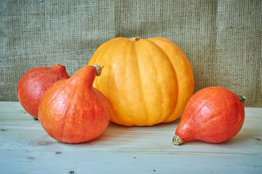 Similar image 8502984