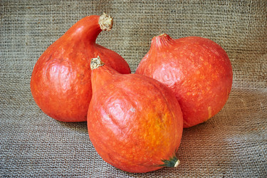 Similar image 8502990