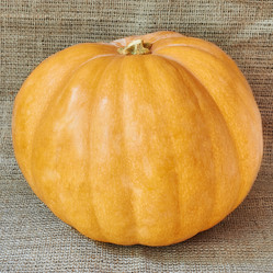 Similar image 8502992