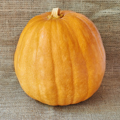 Similar image 8502993