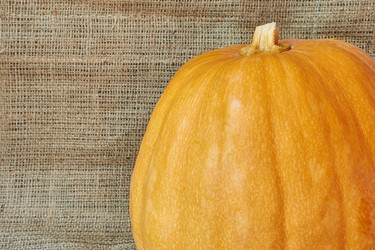 Similar image 8502994