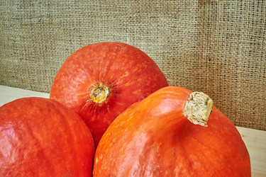 Similar image 8502996