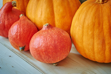 Similar image 8503001