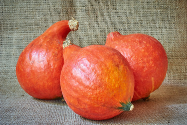 Similar image 8503002