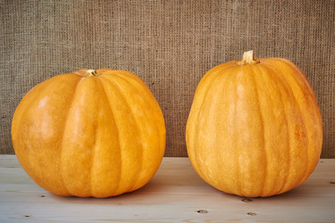 Similar image 8503010